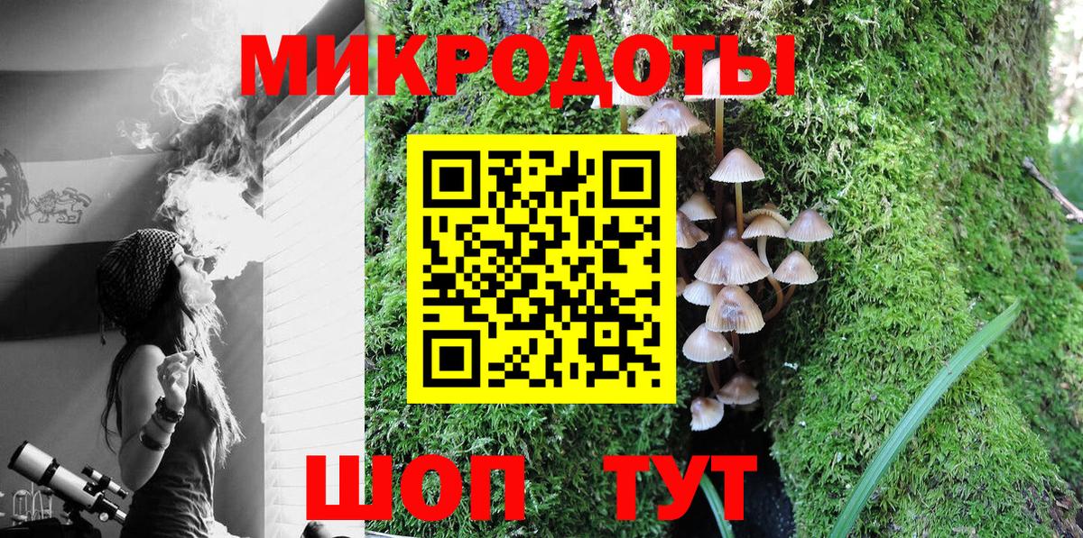 Псилоцибиновые грибы GOLDEN TEACHER Биробиджан