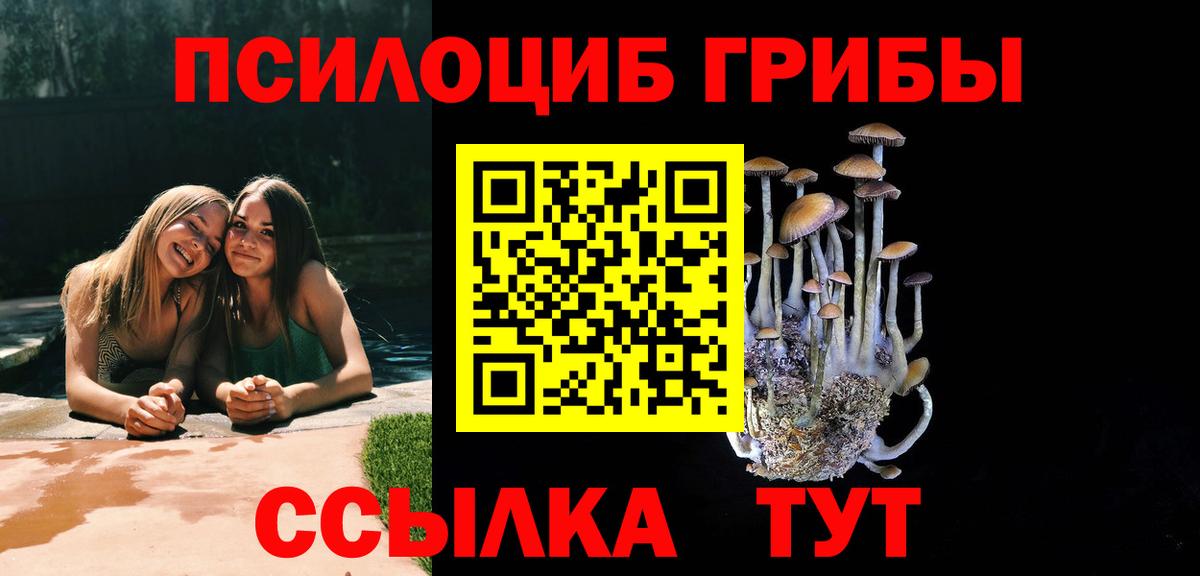 купить наркоту  Псилоцибиновые грибы ЛСД  Вход с VPN  Биробиджан 